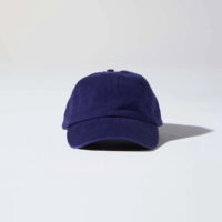 Buckle Dad Cap in Colour Navy
